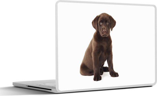 Autocollant Vinyle Silhouette De Chien Pointeur Allemand - Pour Voiture, Fenêtre, Ordinateur - Oracal