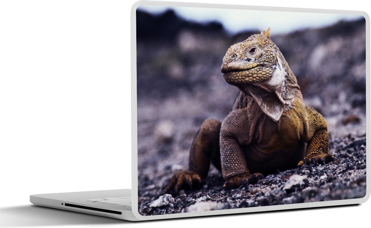 Afbeelding van product SleevesAndCases  Laptop sticker - 14 inch - Een opzij kijkende Landleguaan op een stenen landschap in Ecuador