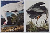 Schilderij DKD Home Decor Heron (50 x 1.8 x 70 cm)
