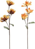 Decoratieve Bloemen DKD Home Decor Geel Oranje EVA (Ethyleenvinylacetaat) (2 pcs)