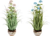 Decoratieve plant DKD Home Decor Blauw Roze PVC Porselein (2 pcs) (20 x 20 x 78 cm)