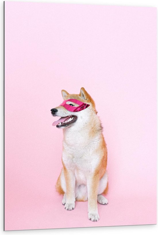 Dibond - Hond met Roze Masker - 80x120cm Foto op Aluminium (Met Ophangsysteem)