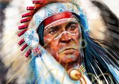 DP Diamond Painting Indian Chief - 105 x 75 cm - Volledige bedekking, vierkante steentjes - Hoogste kwaliteit van DP Benelux Diamond Paintings