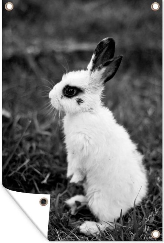 Impression Sur Toile Lapin Mignon - 40x50 Cm Sans Cadre | Déco Chambre Bébé, Salon Noir Et Blanc