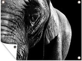 Tuinposter - Tuindoek - Tuinposters buiten - Close-up van een olifant op een donkere achtergrond - zwart wit - 120x90 cm - Tuin