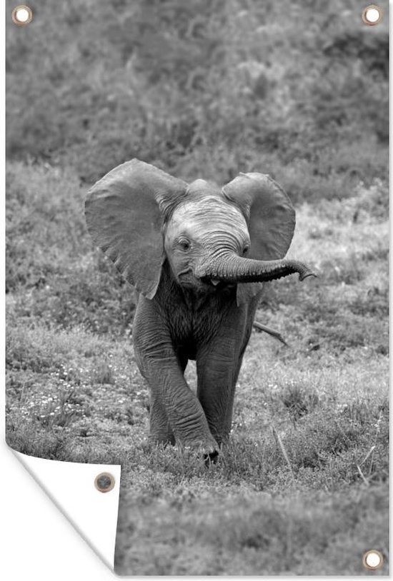 Tuinposters buiten Afrikaanse baby olifant in het gras - zwart wit - 60x90 cm - Tuindoek - Buitenposter