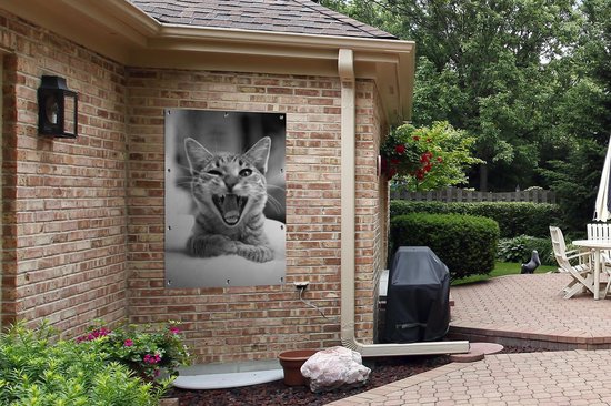 Affiche jardin - Toile jardin - Posters de jardin extérieur - Chat bâillant de près - noir et blanc - 80x120 cm - Jardin