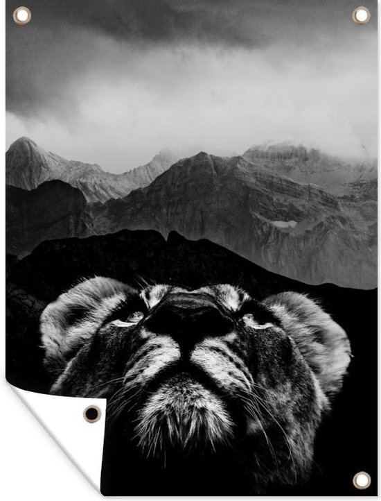 Poster Montagnes Hintersee & Watzmann 70x50 Cm - Décoration Murale Nature Moderne