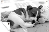Tuinposter - Tuindoek - Tuinposters buiten - Jack russel puppy op deken - zwart wit - 120x80 cm - Tuin