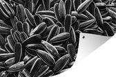Muurdecoratie Close up foto van zwarte zonnebloempitten - zwart wit - 180x120 cm - Tuinposter - Tuindoek - Buitenposter