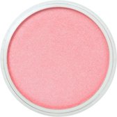 PanPastel Pastel Cup Rouge Nacré 953,5