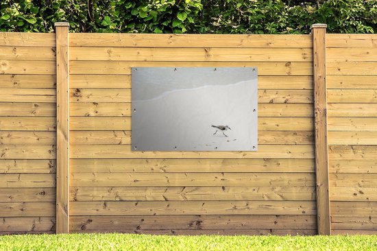 Tuinposter 120x80 cm - Tuindecoratie Strand - Vogels - Zee - Poster voor in de tuin - Buiten decoratie - Schutting tuinschilderij - Tuindoek muurdecoratie - Wanddecoratie balkondoek