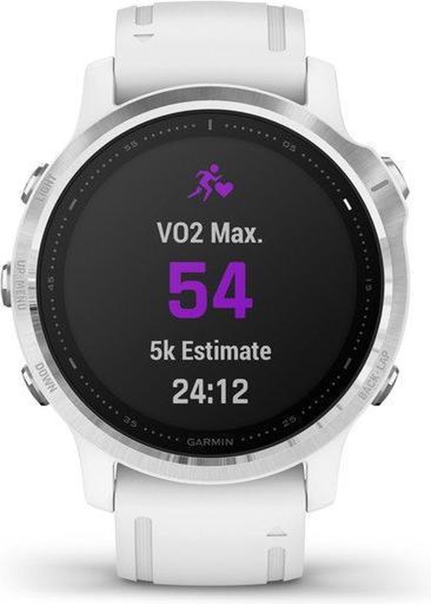 Garmin Fenix 6S Multisport Smartwatch 