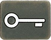 JUNG inzetstuk sleutel wg800