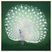 Poster - Ohara Koson Peacock - 40 X 40 Cm - Groen