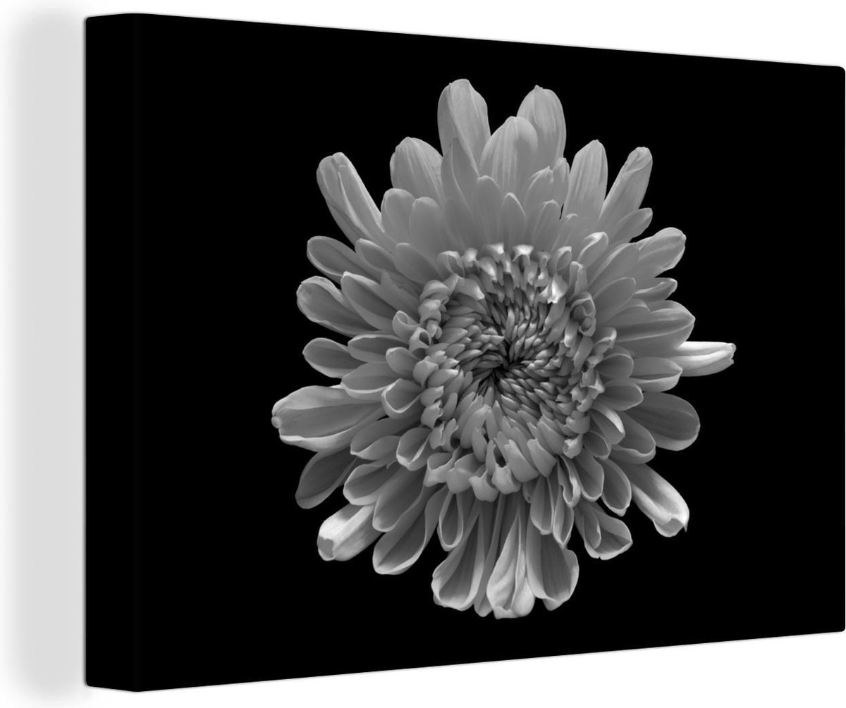 Canvas Schilderij Een Chrysanthemum op een zwarte achtergrond - zwart wit - 60x40 cm - Wanddecoratie - OneMillionCanvasses