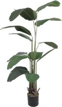 Strelitzia Kunstplant 180 cm | Strelitzia Nicolai Kunstplant Groen | Kunst Strelitzia | Kunstplanten voor Binnen