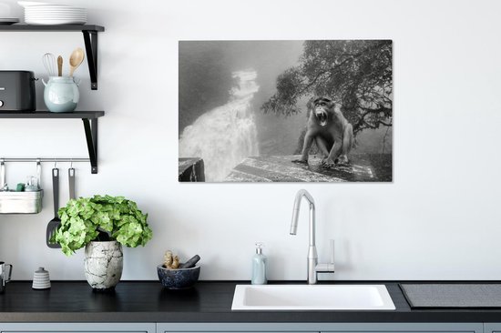 Tableau sur toile Singe qui crie devant la cascade - noir et blanc - 90x60 cm - Art Décoration murale