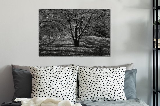 Canvas Schilderij Een esdoorn tijdens de herfst - zwart wit - 60x40 cm - Wanddecoratie - OneMillionCanvasses