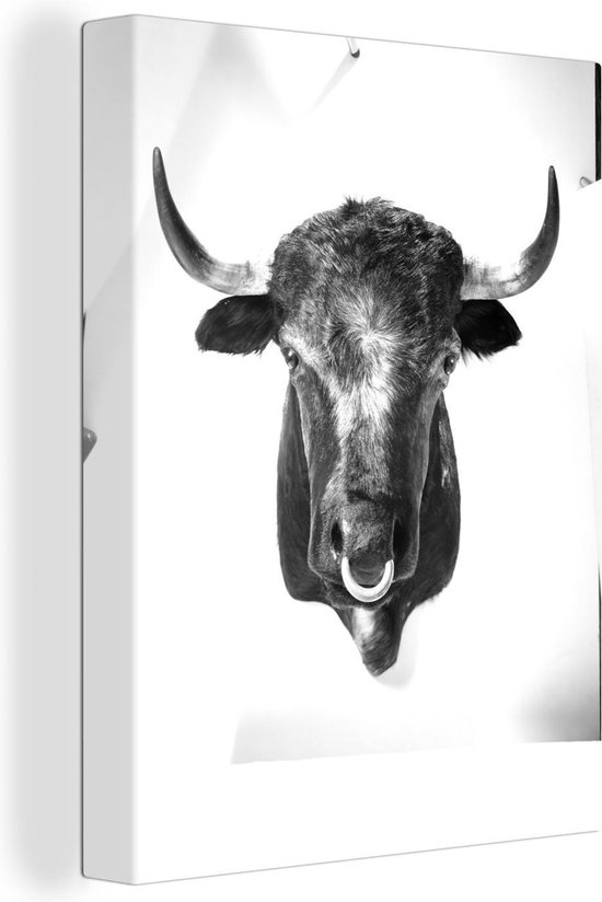 sap zeker Bourgeon Canvas Schilderij Een stier met een ring tegen een witte achtergrond -  zwart wit -... | bol.com