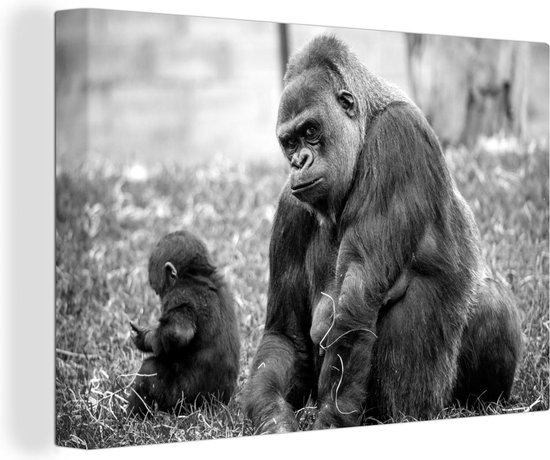 Tableau sur toile Un grand Gorilla avec son b b noir et blanc