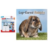 Huisdieren/dieren kalender 2022 konijnen 30 cm incl. 2 zelfklevende ophanghaken - Maandkalenders/jaarkalenders - Wandkalenders