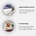 Informatie over hoogwaardige en UV-bestendige canvas prints met een afbeelding van een palmbomen strand.