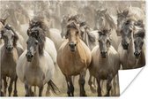 Poster Paarden - Zand - Kudde - 30x20 cm