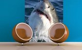 Dimex Shark Vlies Fotobehang 225x250cm 3-banen