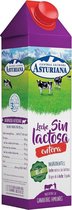 Milk Central Lechera Asturiana Lactosevrij (1 L)