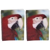 2x stuks papegaaien thema schrift 3D 21cm - opschrijfboekjes/notitieboekje/school schriften