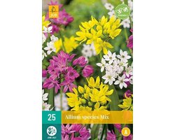 JUB - Allium Species Mix, 20 bloembollen
