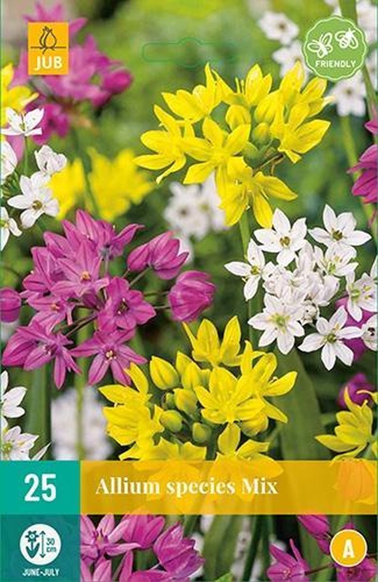 JUB - Allium Species Mix, 20 bloembollen
