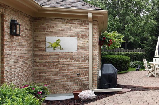 Poster de jardin Lézard - Reptile - Vert - 80x40 cm - Décoration murale Outdoor - Poster de jardin - Toile jardin - Poster clôture - Tableau jardin