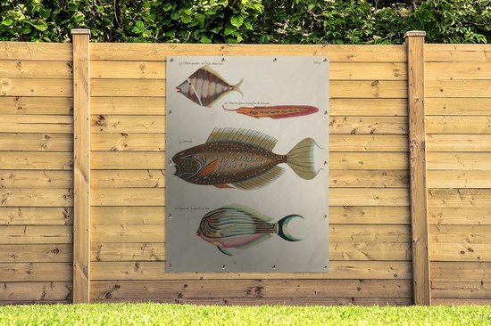 Décoration murale' extérieur Vintage - Animal - Poisson - 120x160 cm
