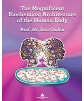 The Magnificent Biochemical Architecture of the Human Body