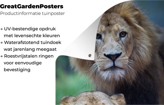 Poster Jardin Lion et Lionne 40x60 cm - petit - Toile de jardin / Toile d'extérieur / Peintures d'extérieur (décoration de jardin)
