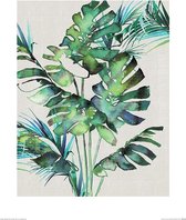 Poster - Summer Thornton Monstera Leaves - 50 X 40 Cm - Groen