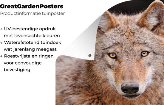 Décoration murale extérieur Loup - Predator - Marron - 160x120 cm