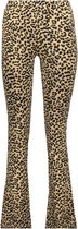 Only Broek Onlsandra Life Flared Pant Box Jrs 15237800 Black/leo Nomad Dames Maat - L