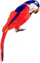 Papegaai bont 40 cm