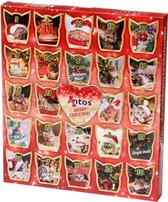 Kerst Adventskalender Voor Katten Poezen Snacks Advent Kalender Verrassing Dieren Kattensnack Kat