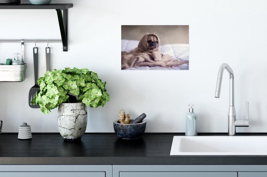 Poster Chien - Couverture - Lit - 30x20 cm