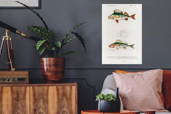 Stickers muraux - Poisson - Vintage - Réalisme - 40x60 cm - Feuille adhésive