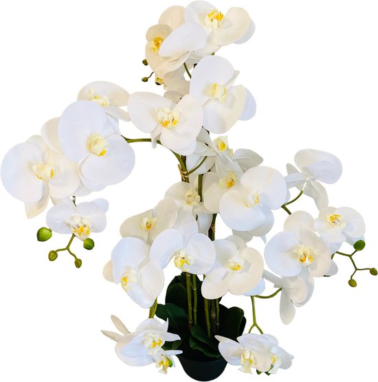 Grote Levensechte Kunst Orchidee / Phlaenopsis plant 100 cm met pot ( 5-taks vol bloemen) kleur Wit - Kunstplant