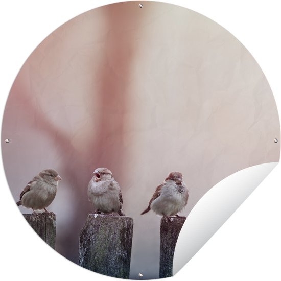Tuincirkel Vogels - Mussen - Paaltjes - Hout - 60x60 cm - Ronde Tuinposter - Buiten
