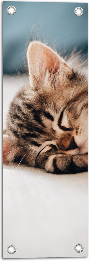 Tuinposter – Rustende Kitten op Bank - 20x60 cm Foto op Tuinposter (wanddecoratie voor buiten en binnen)