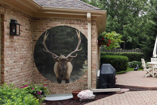 Garden Circle Cerf - Arbre - Bois - 150x150 cm - Affiche de Jardin Ronde - Extérieur