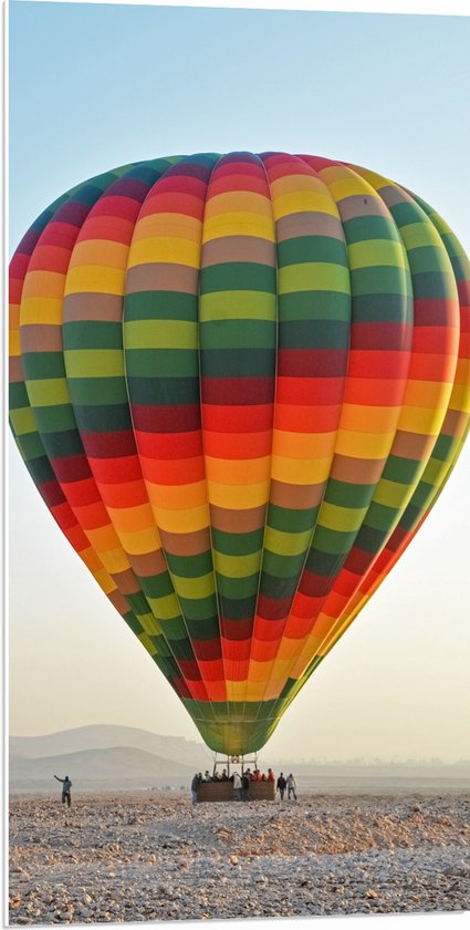 WallClassics - PVC Schuimplaat - Meerkleurige Luchtballon Geland op Woestijn - 50x100 cm Foto op PVC Schuimplaat (Met Ophangsysteem)