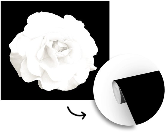 Papier peint - Papier peint photo peint Rose - Zwart - Wit - Largeur 280 cm x hauteur 280 cm